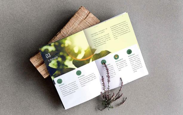 產(chǎn)品畫(huà)冊(cè)  第4張