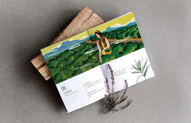 產(chǎn)品畫(huà)冊(cè)  第7張