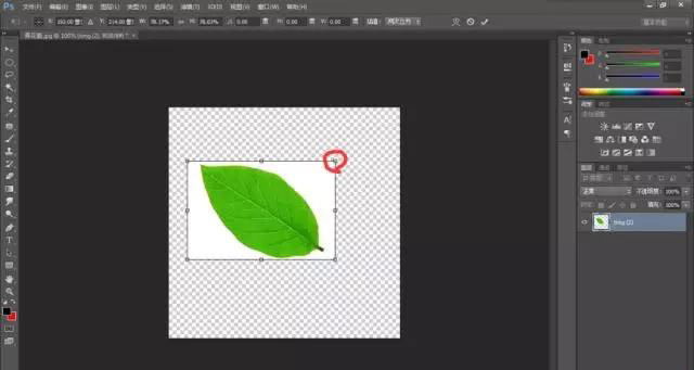 photoshop怎樣調(diào)整圖片尺寸和大小？