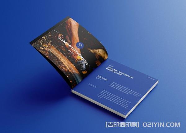 外企業(yè)畫冊設(shè)計印刷  第7張