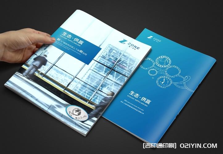 生態(tài)軟件IT供應(yīng)鏈畫冊設(shè)計  第3張