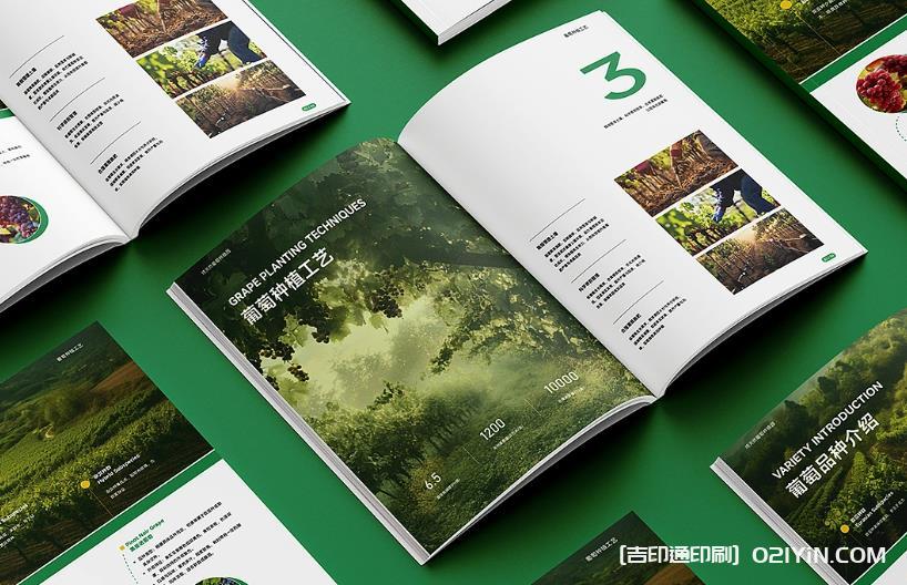 上海產(chǎn)品畫冊(cè)印刷避坑指南：文件規(guī)范、工期把控與質(zhì)量驗(yàn)收要點(diǎn)