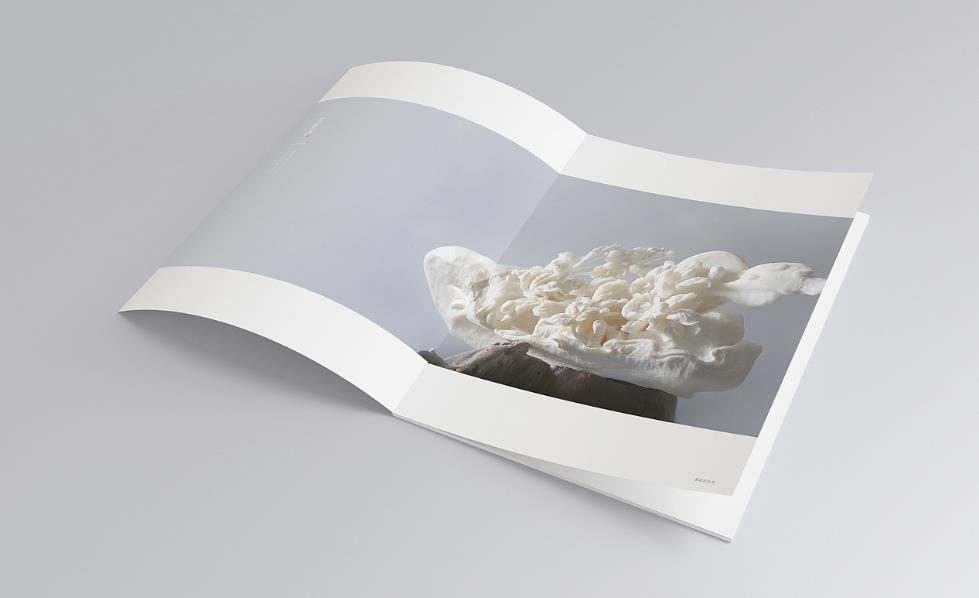 彩頁(yè)印刷常規(guī)尺寸有哪些？